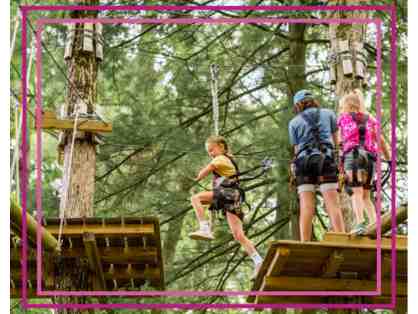 Ropes and Obstacle Courses for Two at TreeTop Adventures